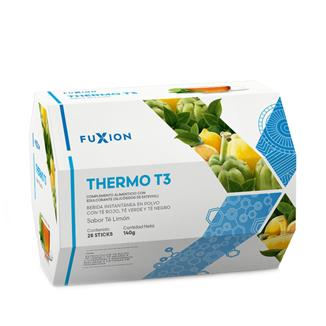 THERMO T3 2.jpg